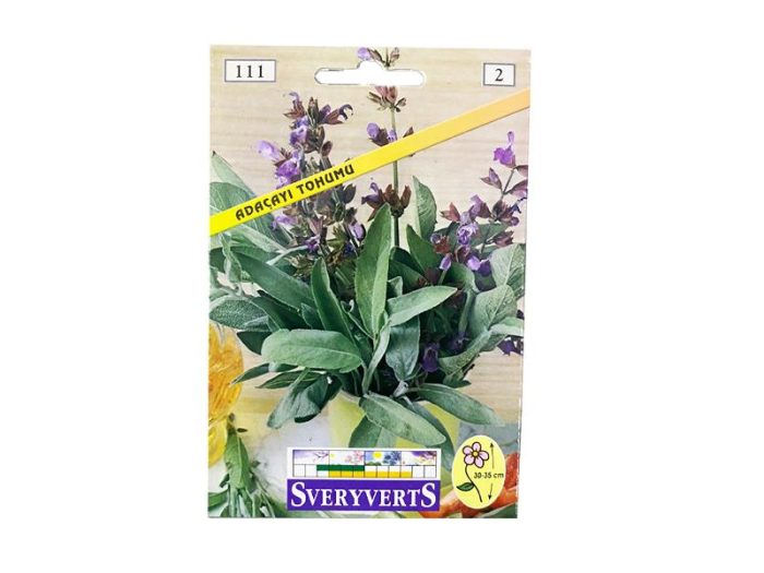 ADAÇAYI TOHUMU - Görsel 2