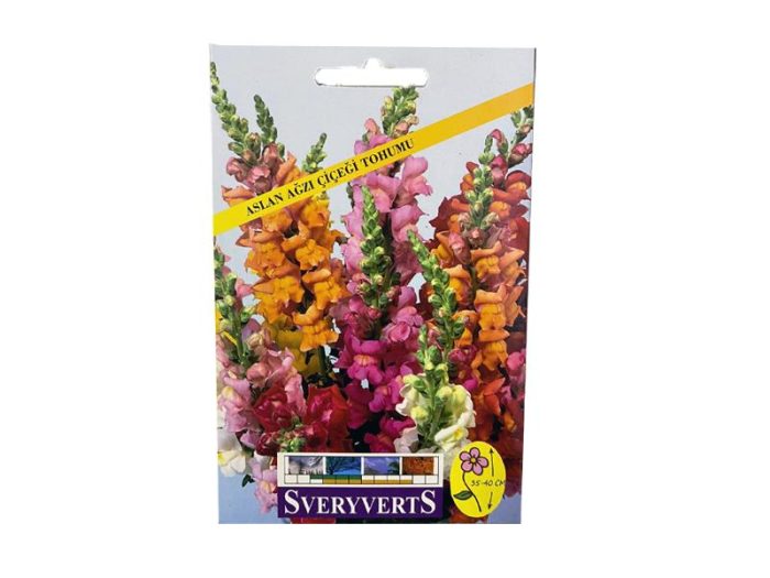 ASLAN AĞZI ÇİÇEĞİ TOHUMU - Görsel 1