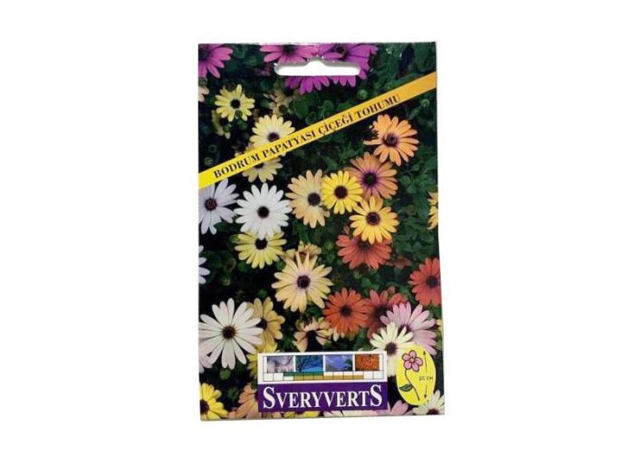 BODRUM PAPATYA TOHUMU - Görsel 1