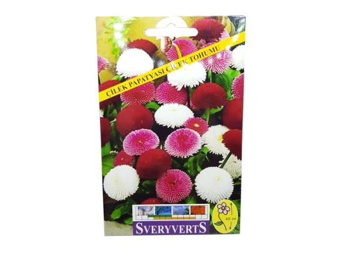 ÇİLEK PAPATYA TOHUMU - Görsel 1