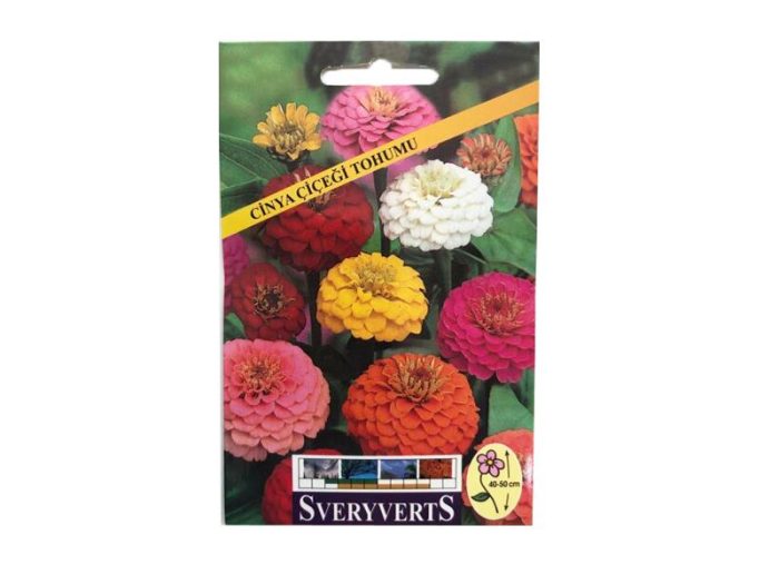 KATMERLİ ZİNNİA ÇİÇEĞİ TOHUMU - Görsel 2