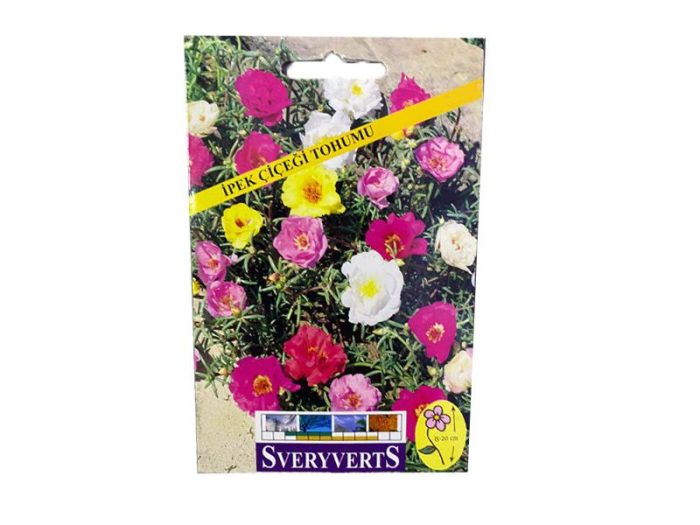 KEDİ TIRNAĞI (İPEK ÇİÇEĞİ) TOHUMU - Görsel 2