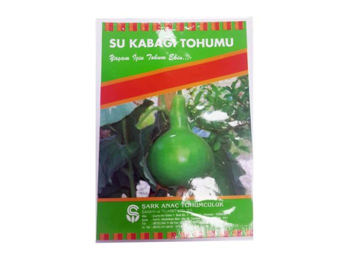 Süs Kabağı Tohumu - Görsel 1